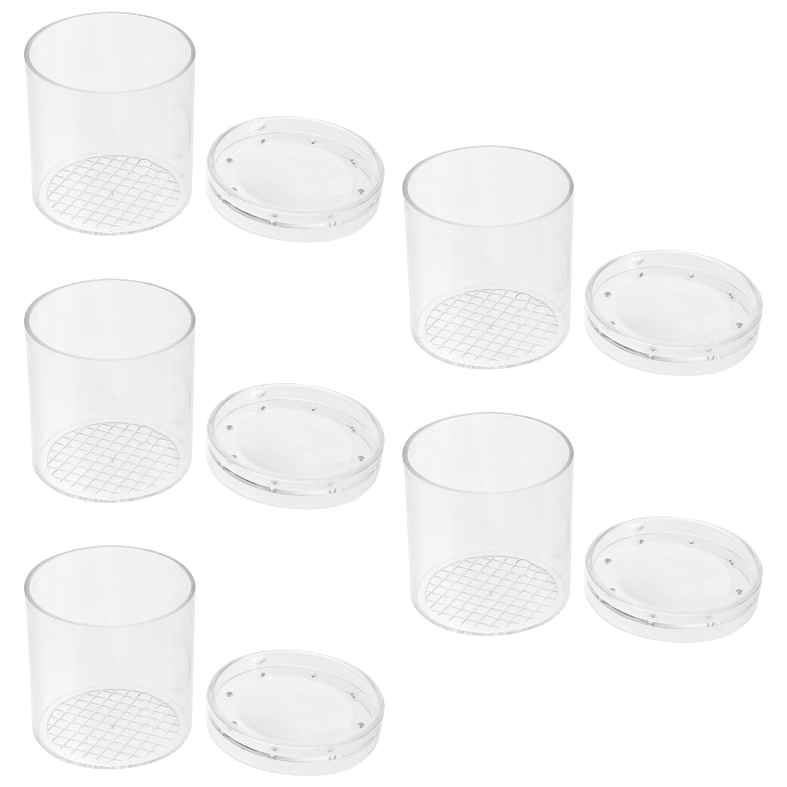 5Pcs Insect Observation Box Ki - Science Toys ulasan dan harga