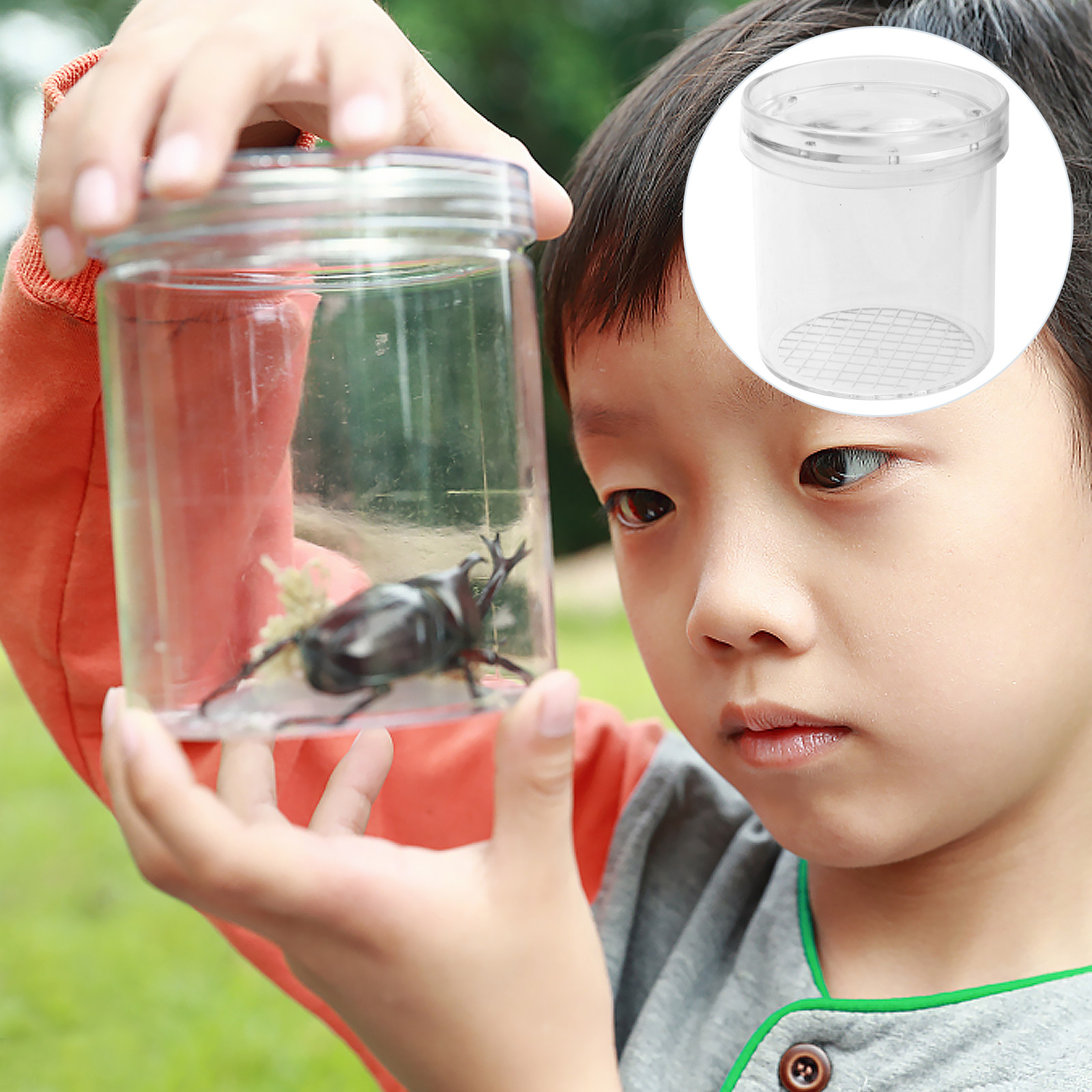5Pcs Insect Observation Box Ki - Science Toys ulasan dan harga