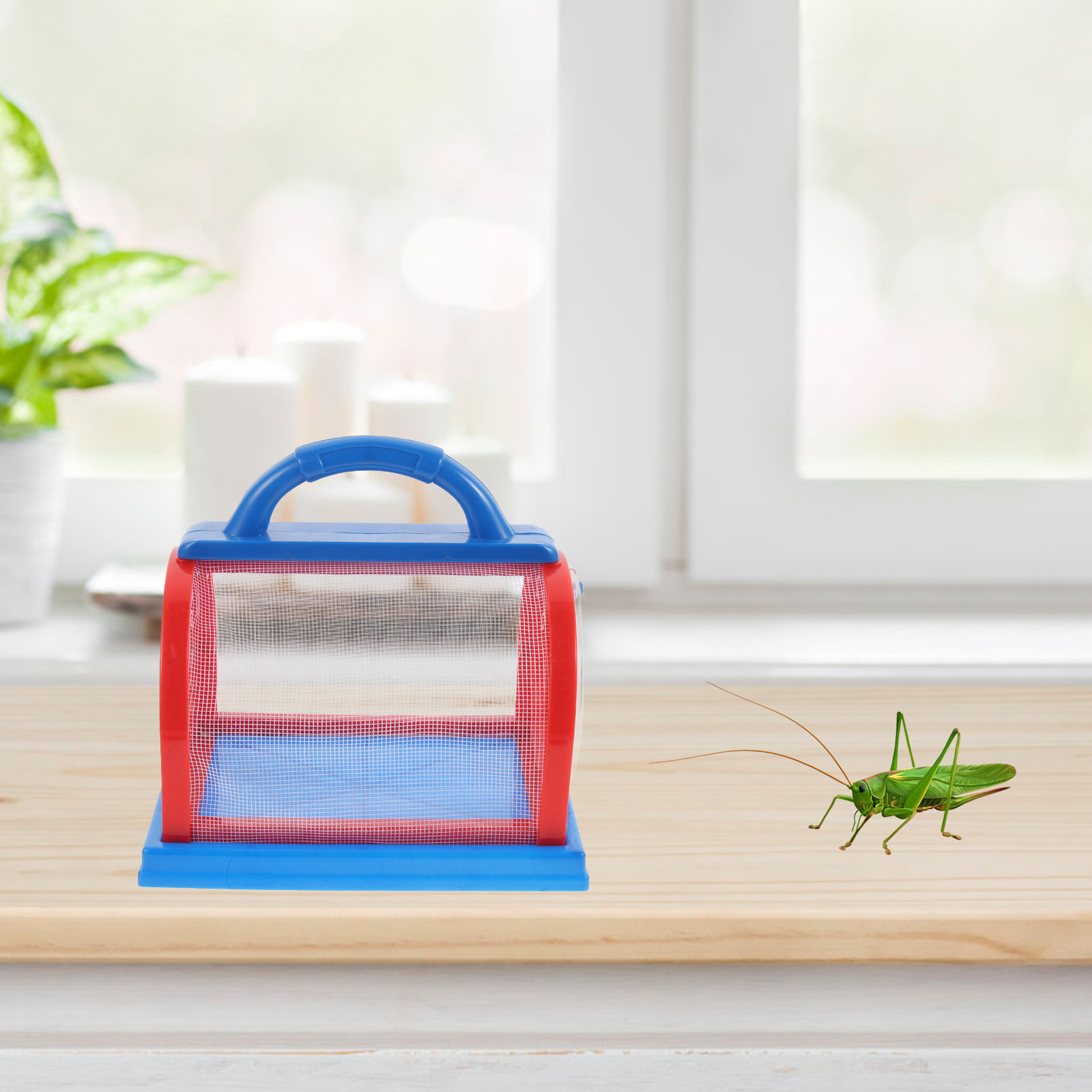 1Set Transparent ABS Insect Ob - Science Toys ulasan dan harga
