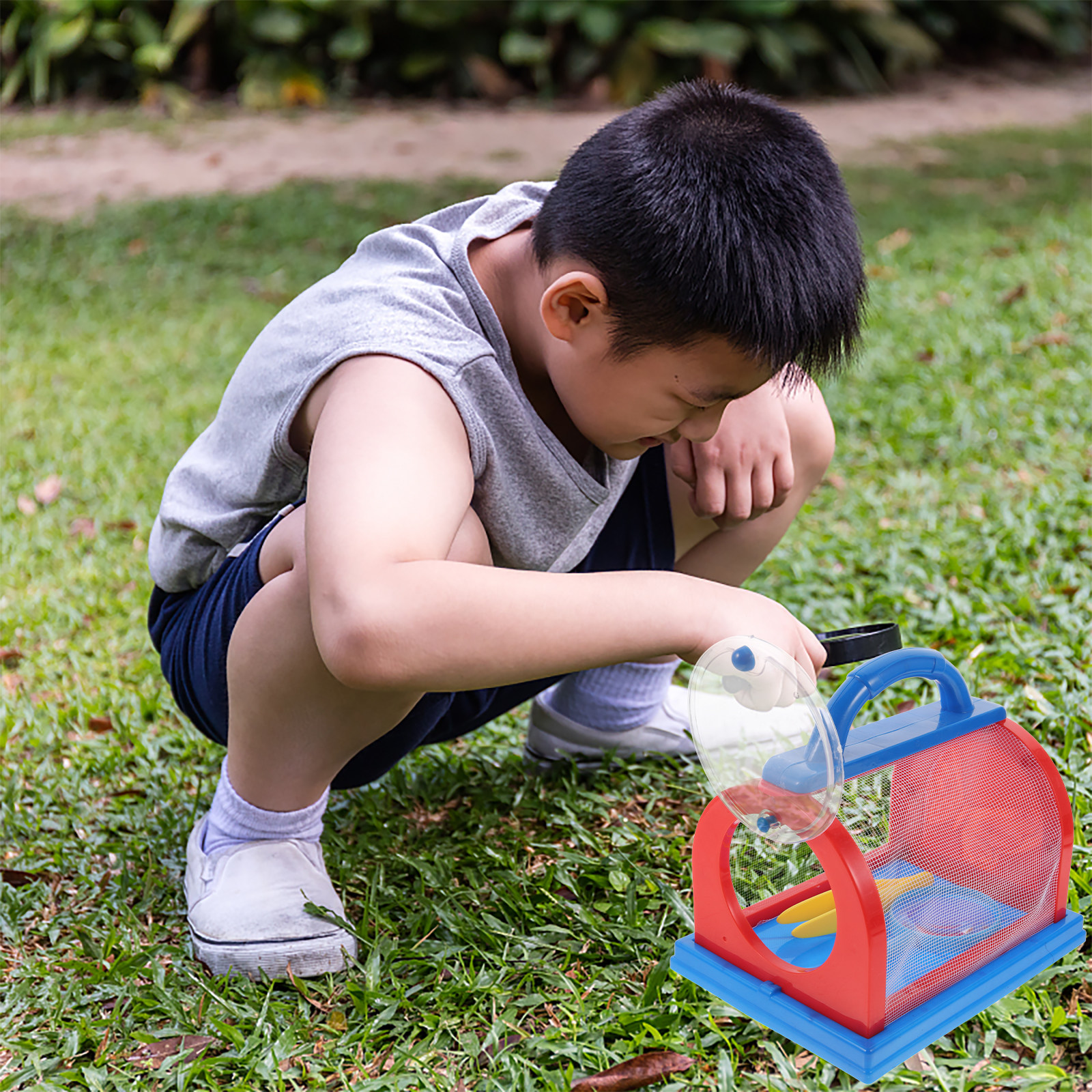 1Set Transparent ABS Insect Ob - Science Toys ulasan dan harga