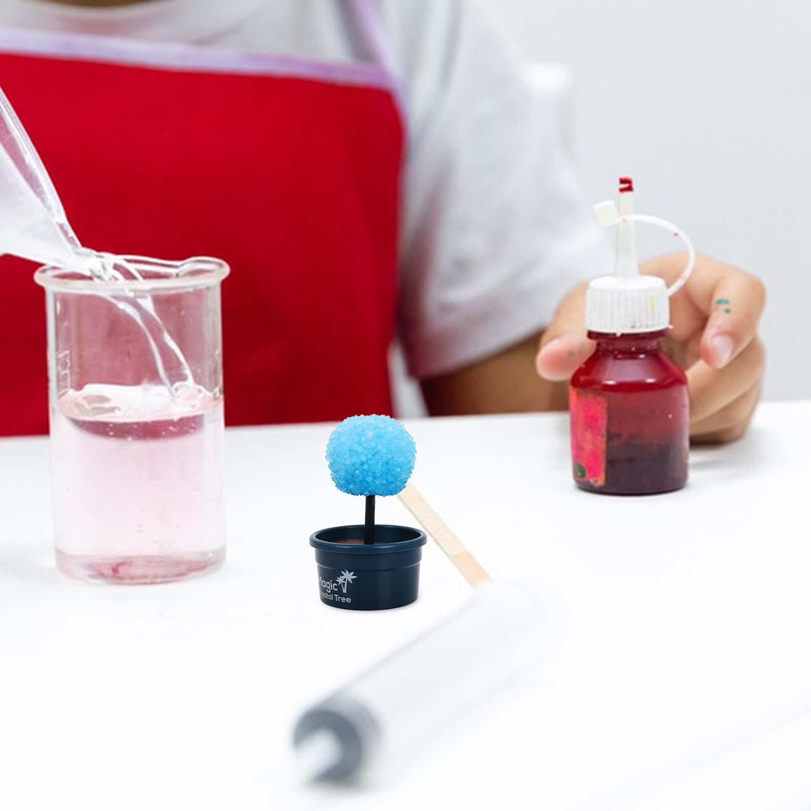 1Set Crystal DIY Science Kit F - Science Project Kit ulasan dan harga