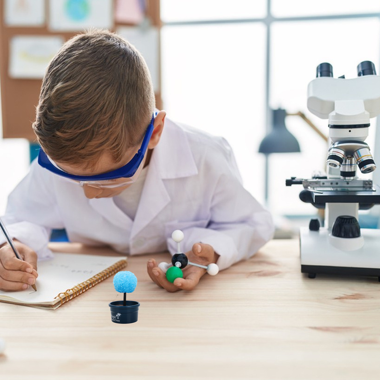 1Set Crystal DIY Science Kit F - Science Project Kit ulasan dan harga